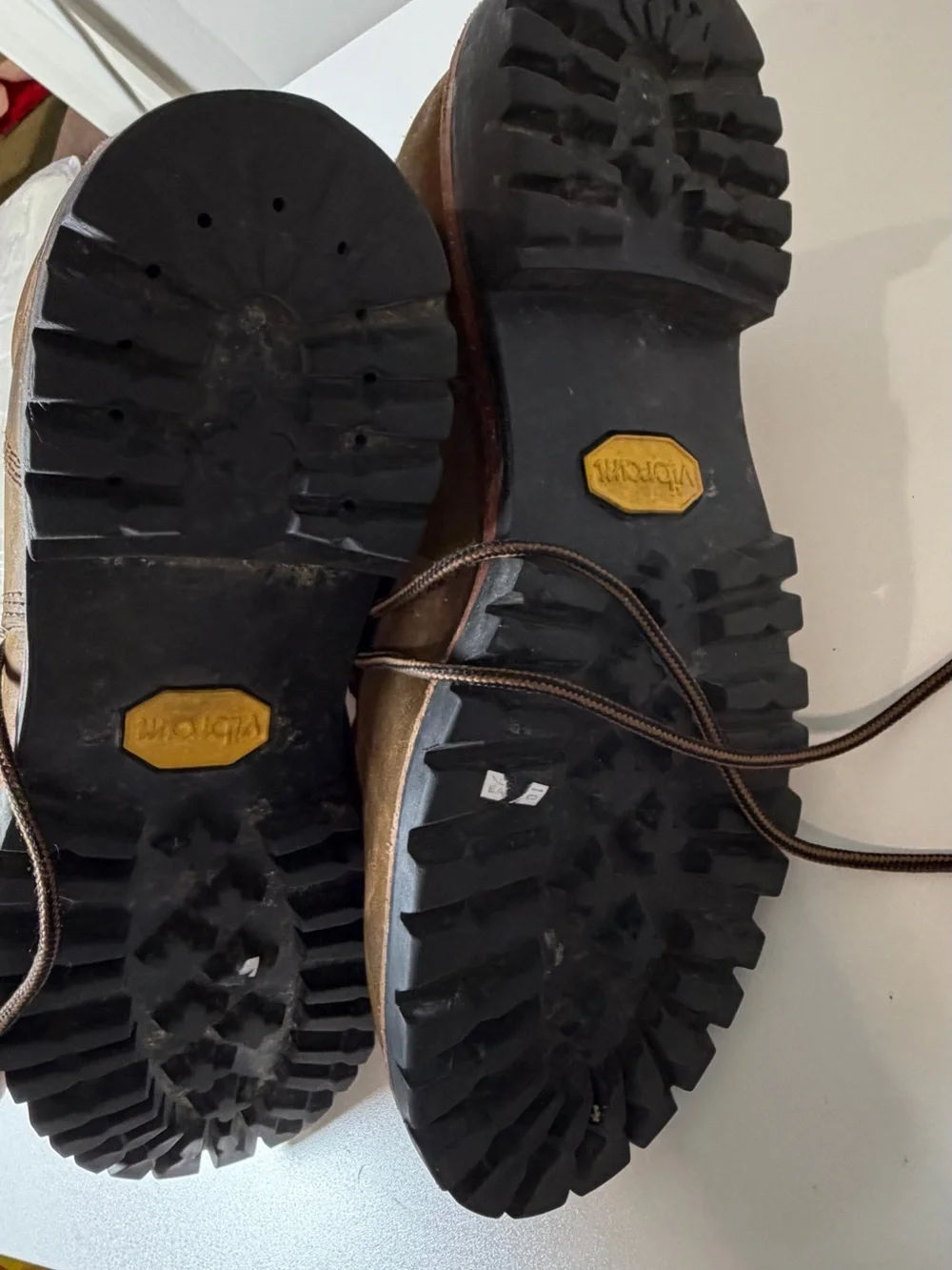 L.L. Bean sturdy brown